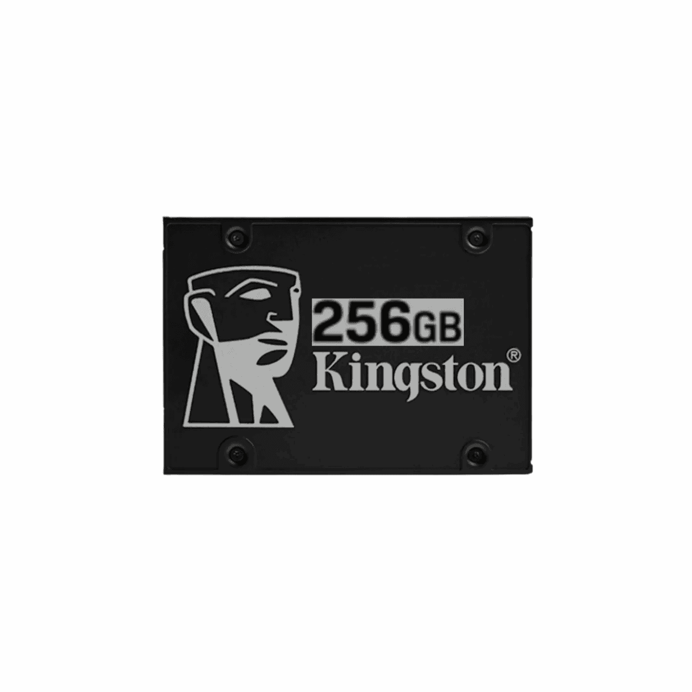256GB SSD 2.5" for Enhanced Storage Performance - Blue Orbit Computer Trading LLC