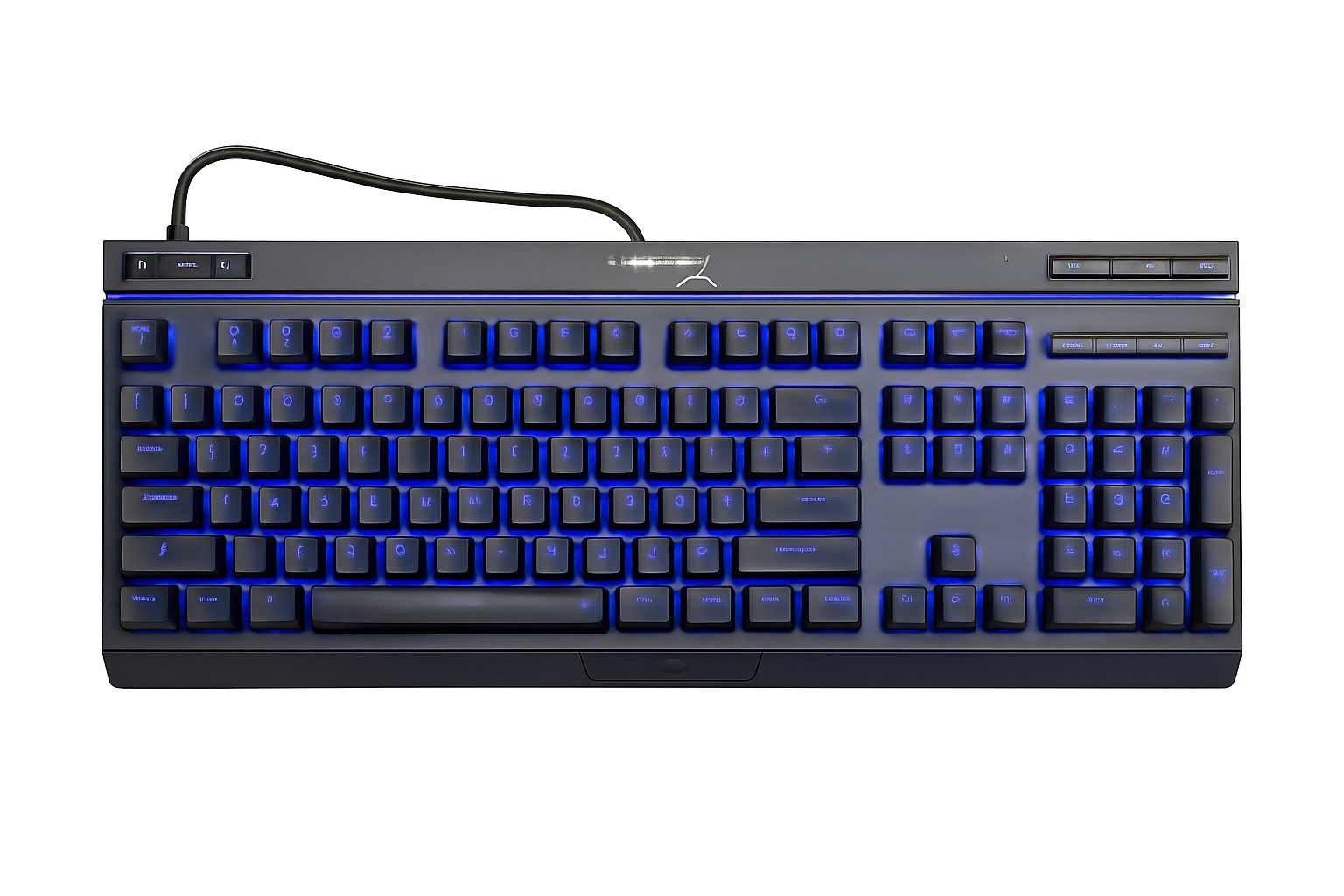 Black keyboard with blue backlighting on a white background